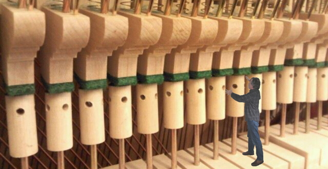 Kelly clearance piano tuning